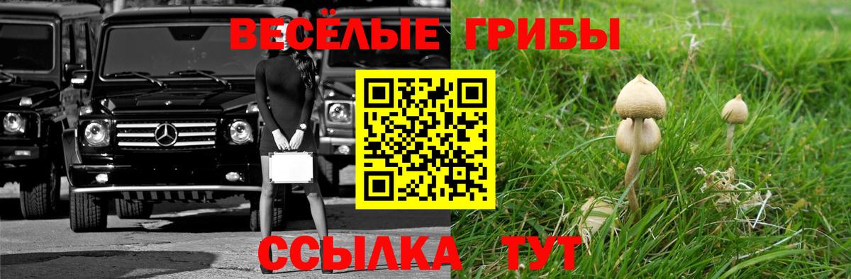 Псилоцибиновые грибы прущие грибы Алексин
