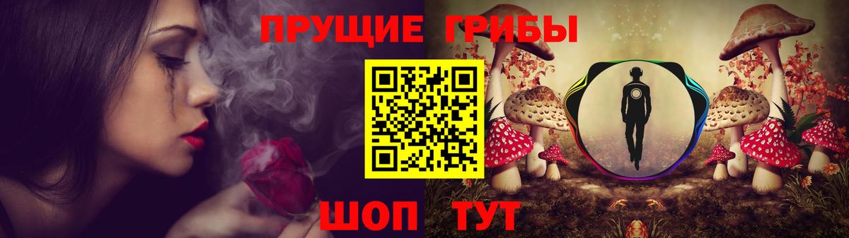 Галлюциногенные грибы прущие грибы  Вход с VPN  Алексин 